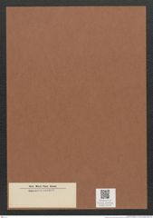 Diatomeae indet. Zeichnungen Sammlung Grunow Mappe 03118 (Herbarium_W_Grunow_drawings_Folder_03118)